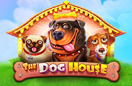 The Dog House