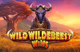 Wild Wildebeest Wins